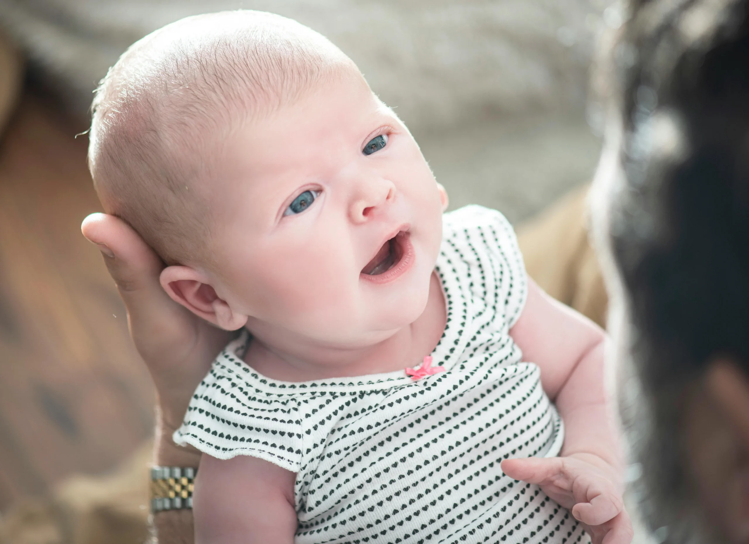 pexels jacobyavin 12862037