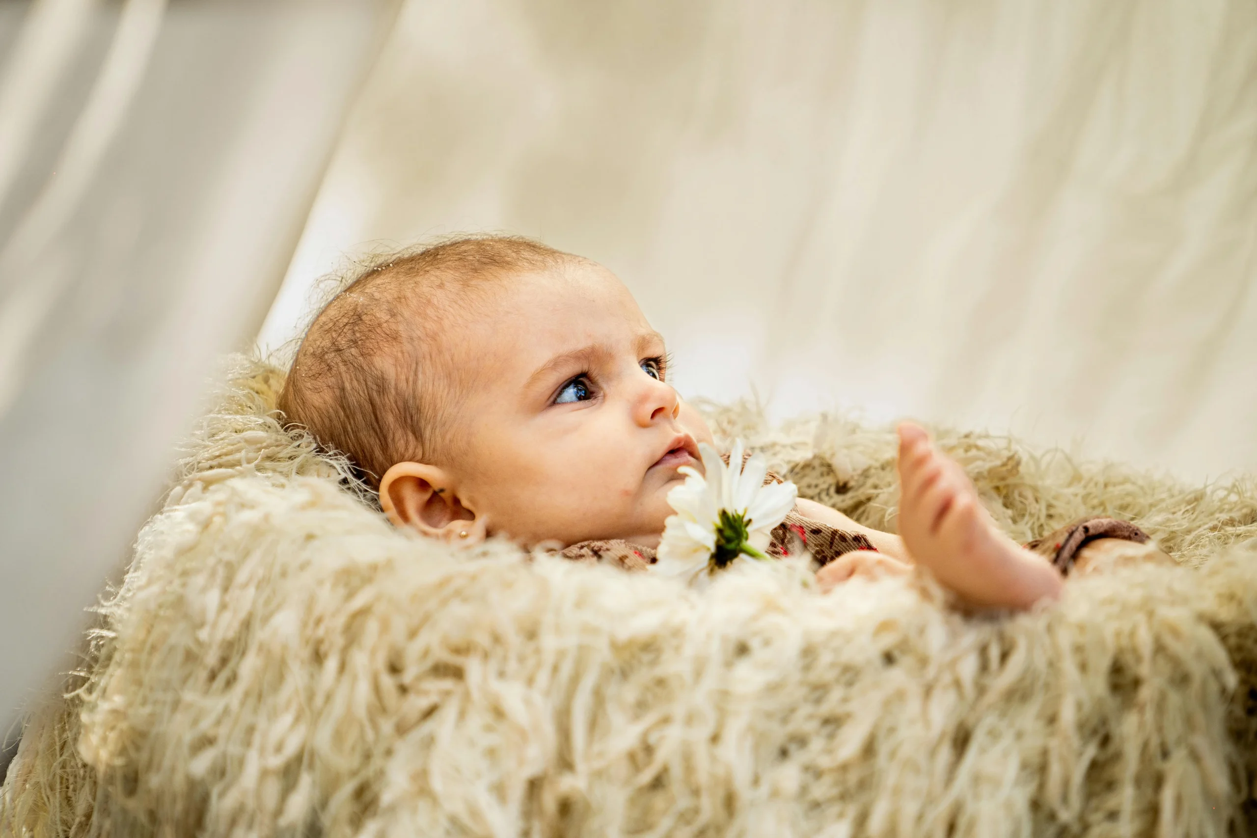 pexels nano erdozain 120534369 21283688