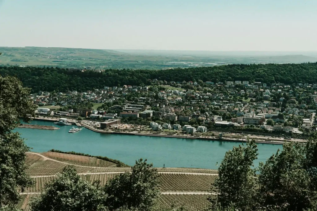 Overhead view of Rüdesheim am Rhein, Germany with lush vineyards and the Rhein River in summer.